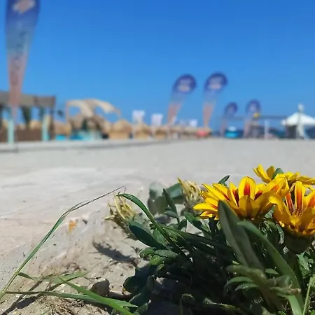 Promenada Apartments 2